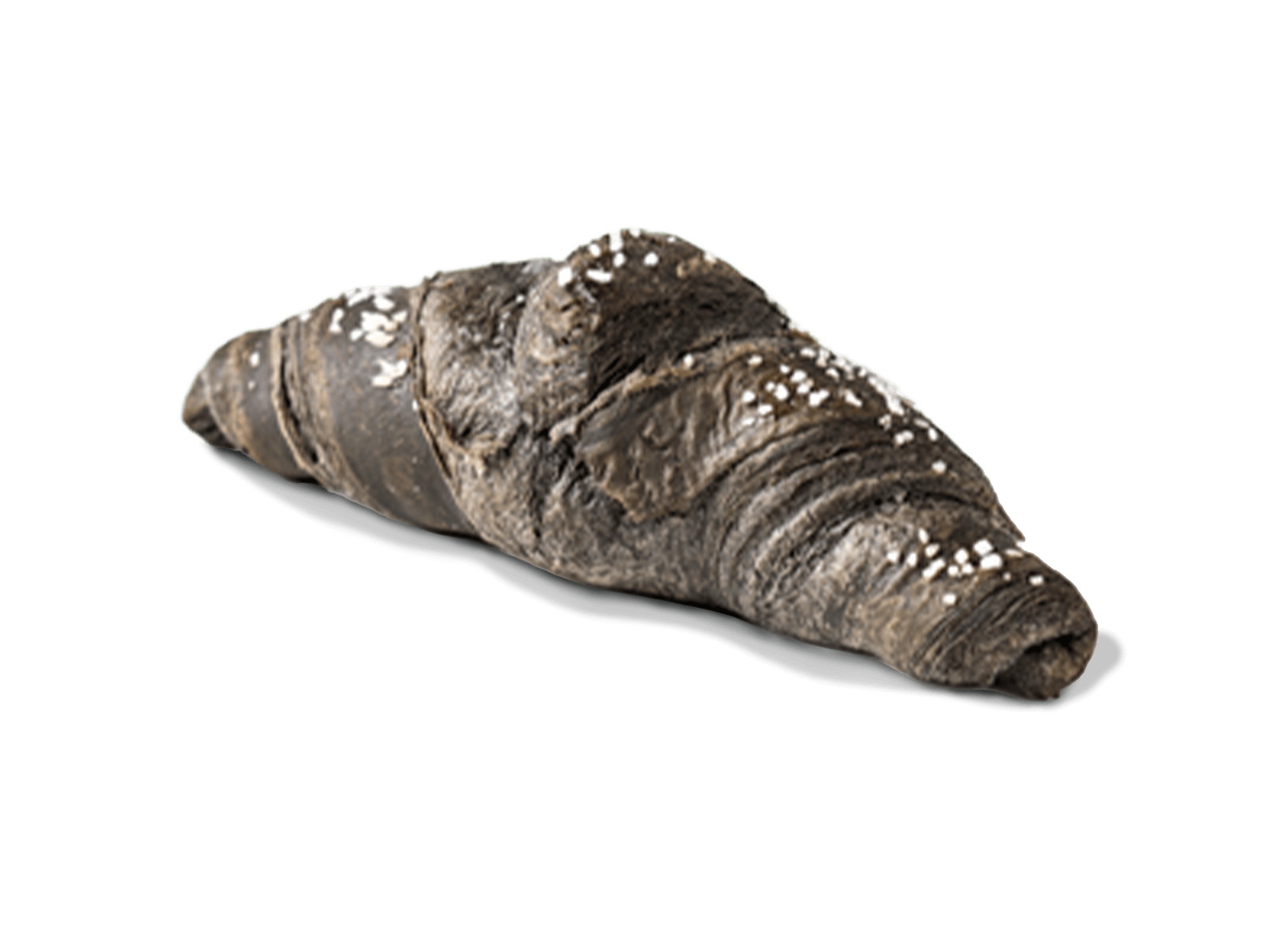 Cornetto Vegano Ai Carboni Attivi